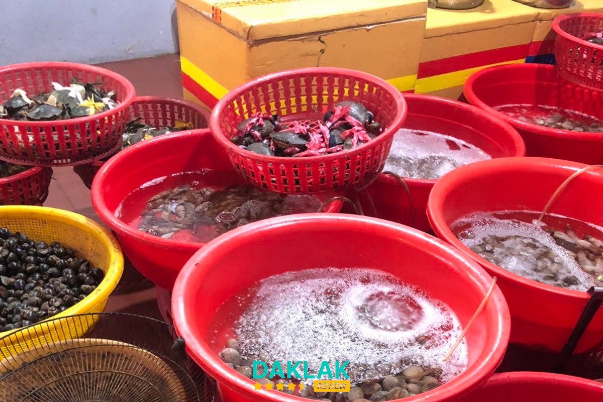 Không gian Phi Hoa Sữa Tuy Hòa