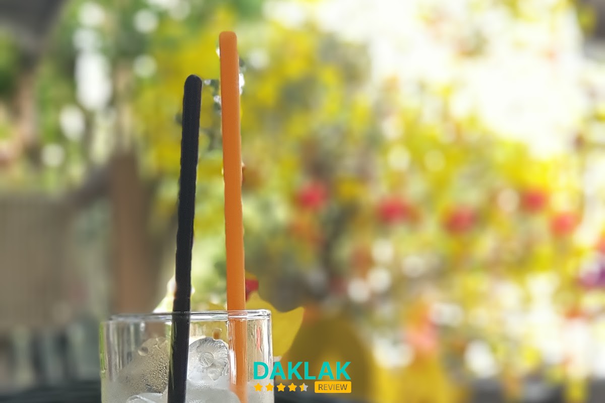 Khu vực Green Cafe Tuy Hòa