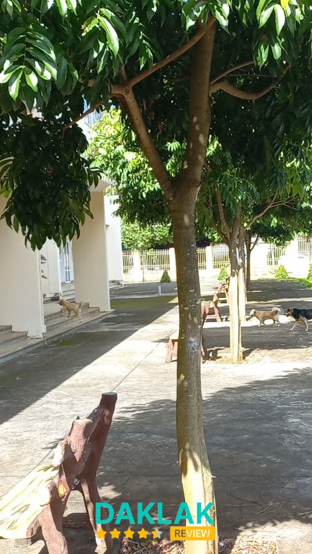 Khuôn viên Học viện Hành chính tại Tân Lập Đắk Lắk