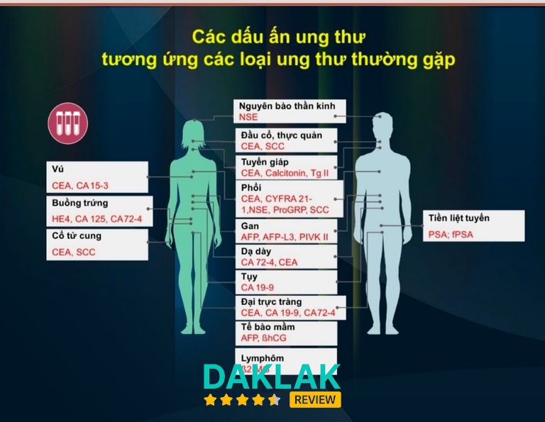 Khu vực xét nghiệm tại MEDILAB Tuy Hòa