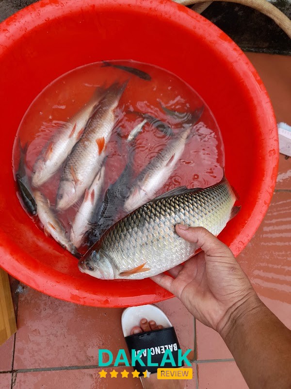 Lai Phun Xăm - Địa chỉ phun xăm đẹp Buôn Ma Thuột - Xóa Xăm Buôn Ma Thuột - hình 3
